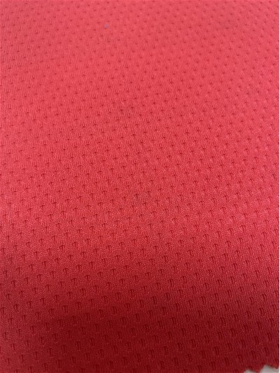 DG-PF WA29  蜂巢網 紗支：75D  幅寬：185CM 克重：150GSM  成份：100Polyester  吸濕排汗 正面照